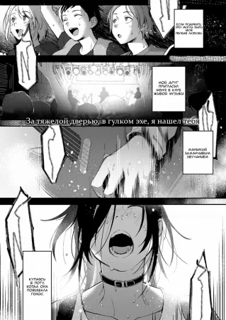 Тайная песня (Secret Sing)