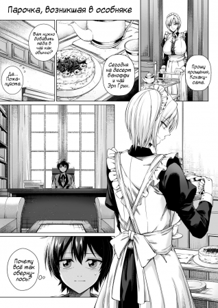 Парочка, возникшая в особняке (Match Made in Manor)