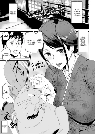 Молодая смотрительница кошачьего горячего источника (The Cat Spring's Young Matron)